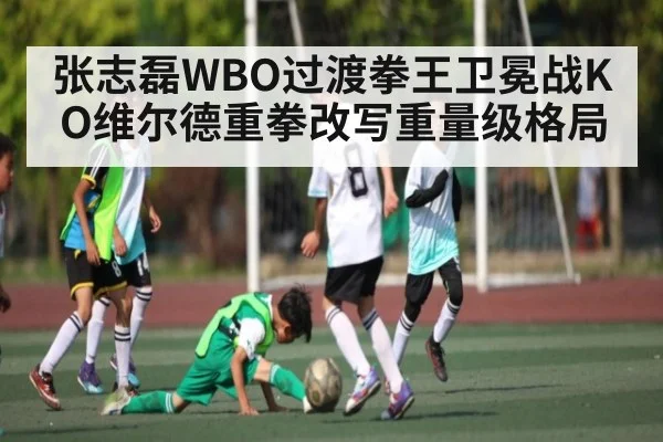 张志磊WBO过渡拳王卫冕战KO维尔德重拳改写重量级格局